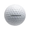 Bridgestone E6 Golf Ball Sleeve
