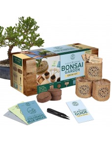 Garden Republic Bonsai Tree Kit - Bonsai Starter Kit