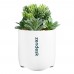 iHome Faux Succulent with USB Charging Station