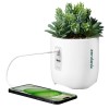 iHome Faux Succulent with USB Charging Station – White