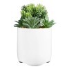 iHome Faux Succulent with USB Charging Station