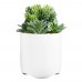 iHome Faux Succulent with USB Charging Station – White