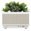 iHome Powerplant Speaker and Charger