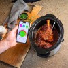 Meater 2 Plus Smart Meat Thermometer
