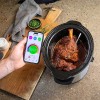 Meater Pro Smart Meat Thermometer