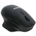  
Inventory: Black