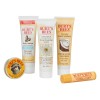 Burt\u0027s\u0020Bees\u0020Essential\u0020Kit