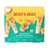 Burt's Bees Essential Kit