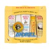 Burt\u0027s\u0020Bees\u0020Essential\u0020Kit