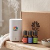 Serene House Spa Kit