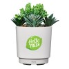 iHome PowerPlant USB Charging Station, Faux Succulent with USB Charger (iPP35)