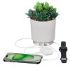 iHome PowerPlant USB Charging Station, Faux Succulent with USB Charger (iPP35)