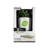 iHome PowerPlant USB Charging Station, Faux Succulent with USB Charger (iPP35)