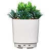 iHome PowerPlant USB Charging Station, Faux Succulent with USB Charger (iPP35)