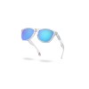 Oakley Frogskins Sunglasses