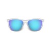 Oakley Frogskins Sunglasses