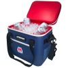 Patriot\u0020Glacierpak\u002024\u0020Can