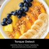 Ninja Detect™ Power Blender Pro