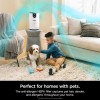 Shark® Air Purifier with True HEPA