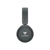 Sony Wireless Headphones with Microphone