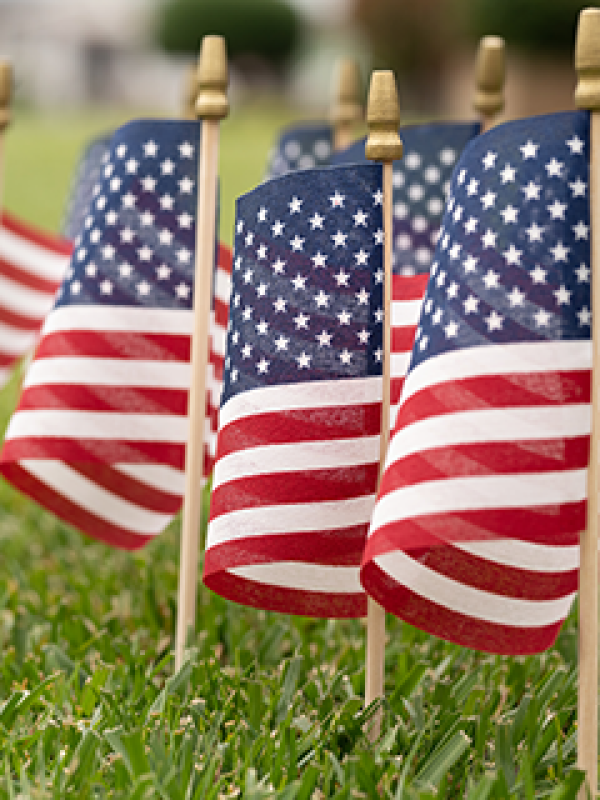 Patriotic / Armed Forces